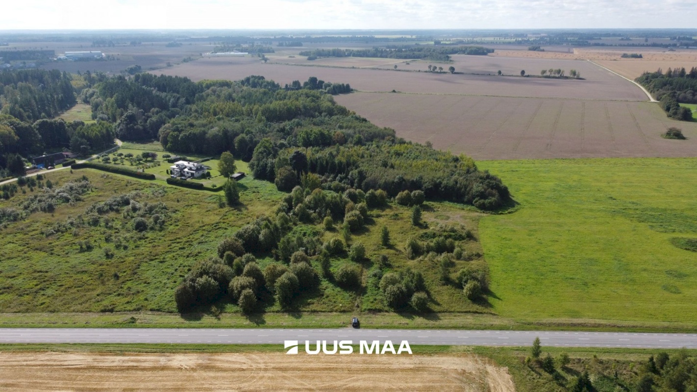 Haljala vald, Haljala alevik, Metsanurga