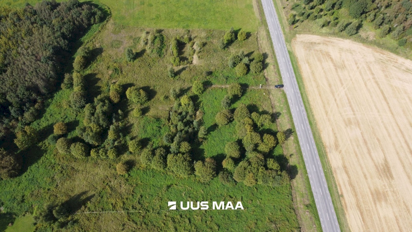 Haljala vald, Haljala alevik, Metsanurga
