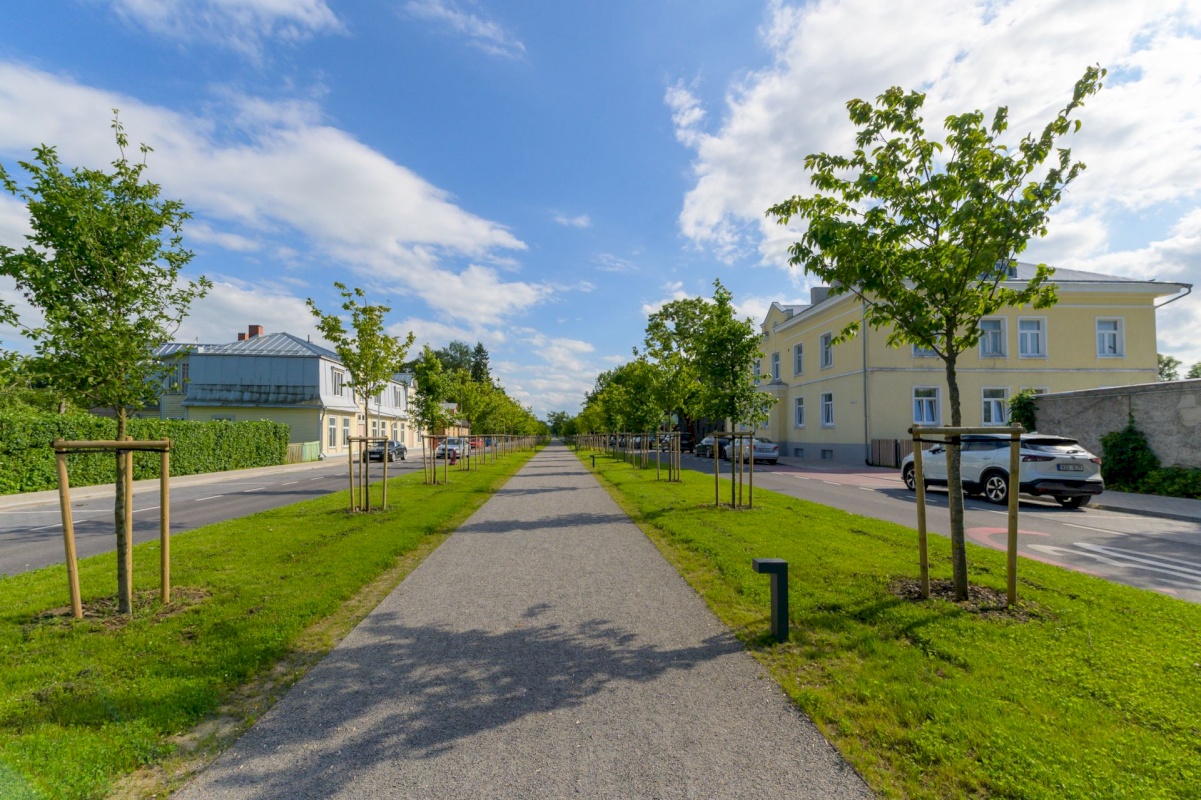 Rakvere linn, F. G. Adoffi tn 1-28