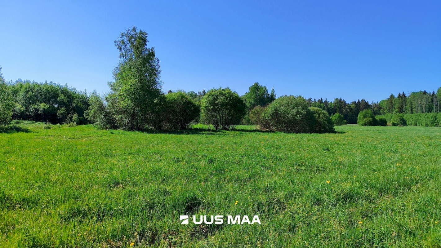 Lääne-Harju vald, Suurküla, Mardi
