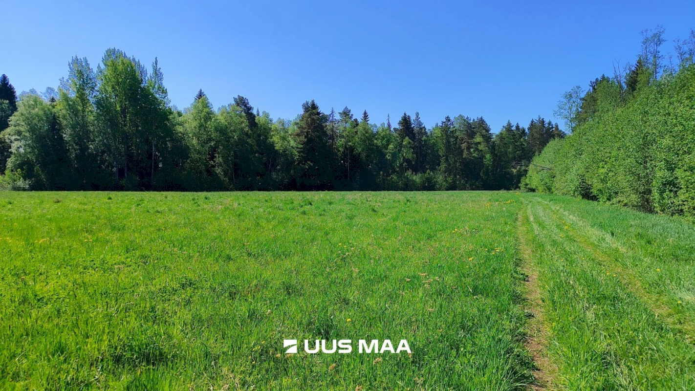 Lääne-Harju vald, Suurküla, Mardi