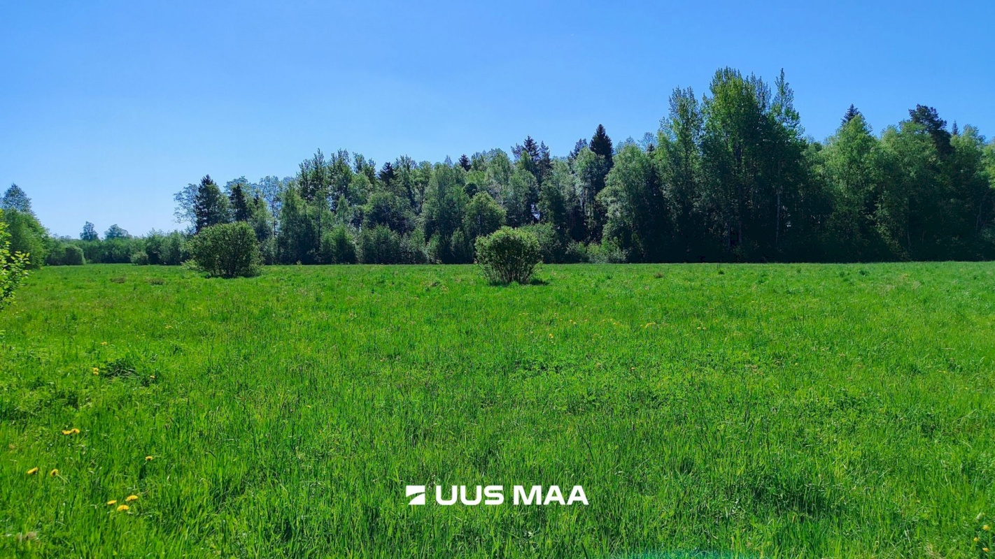 Lääne-Harju vald, Suurküla, Mardi