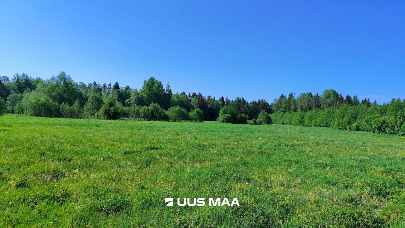 Lääne-Harju vald, Suurküla, Mardi