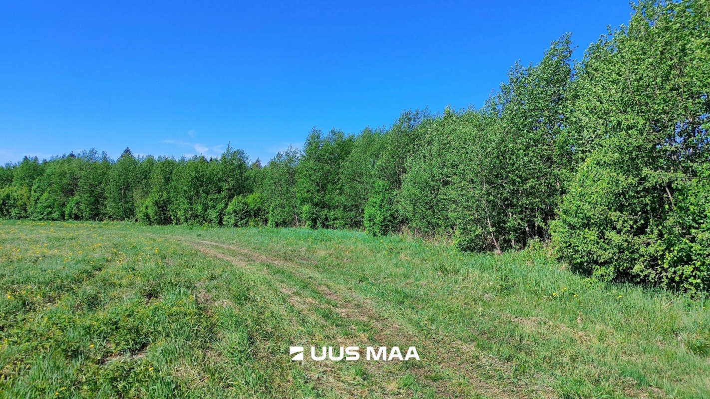 Lääne-Harju vald, Suurküla, Mardi