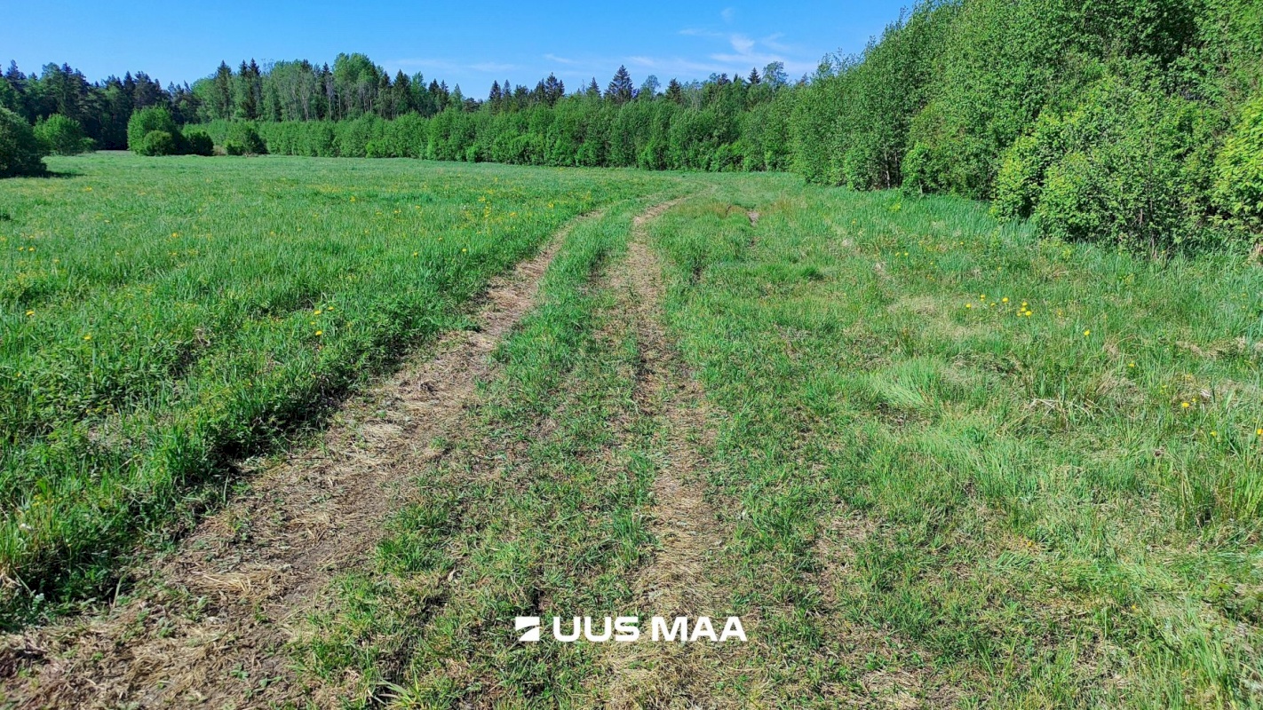 Lääne-Harju vald, Suurküla, Mardi