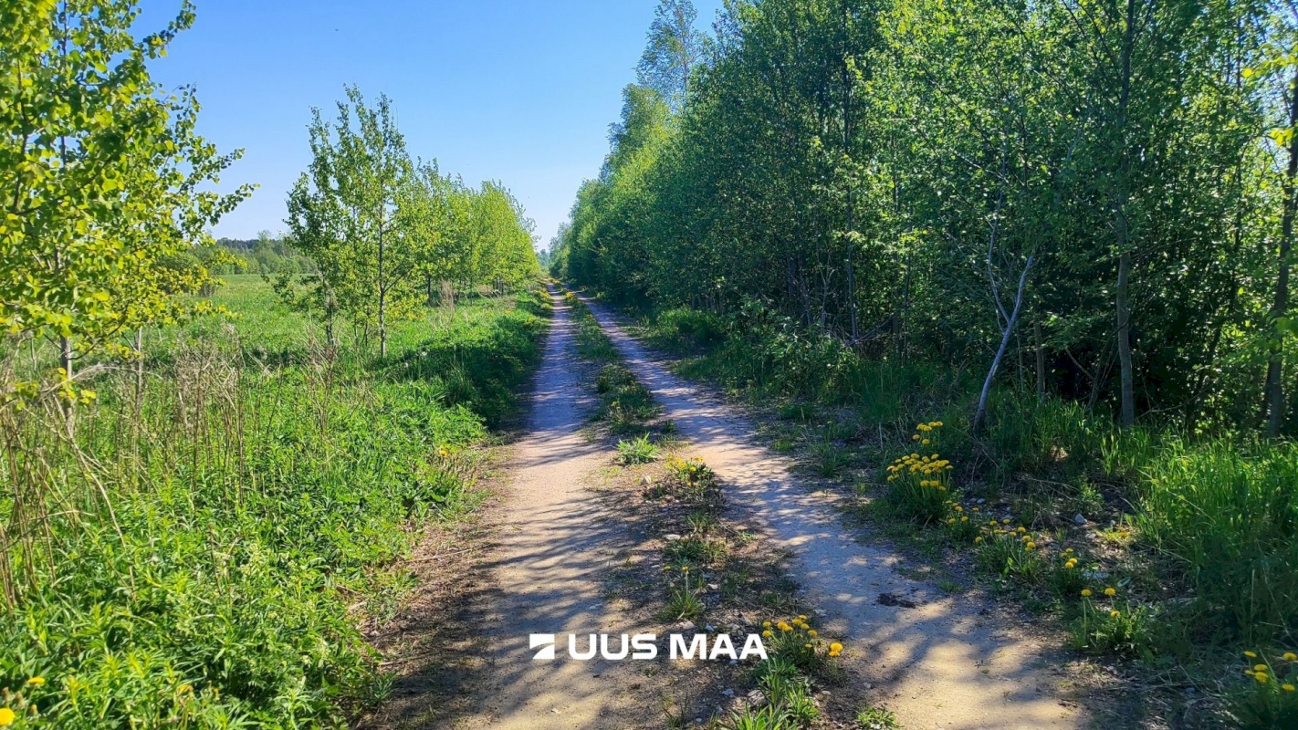 Lääne-Harju vald, Suurküla, Mardi