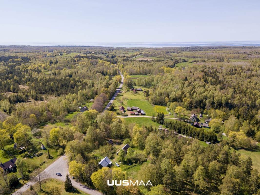 Saaremaa vald, Iide küla, Suureniidi