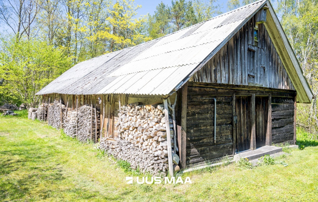 Saaremaa vald, Iide küla, Suureniidi