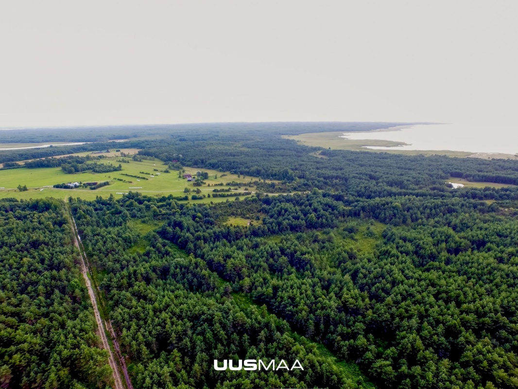 Lääne-Nigula vald, Kudani küla/Gutanäs, Kõrgevälja