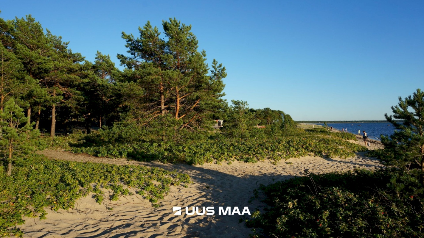 Lääne-Harju vald, Laulasmaa küla, Kaldaveere tee 4