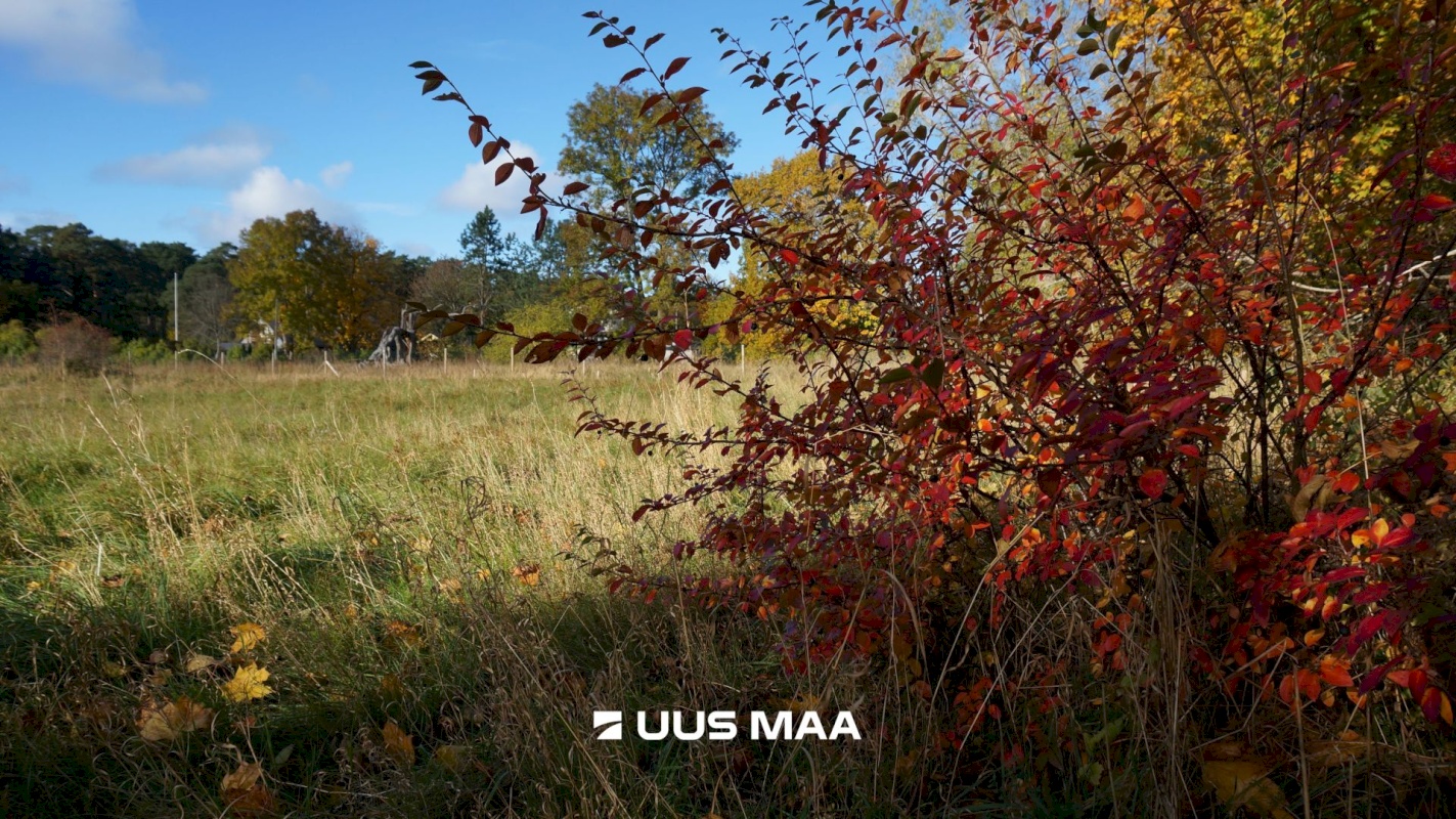 Lääne-Harju vald, Laulasmaa küla, Kaldaveere tee 4