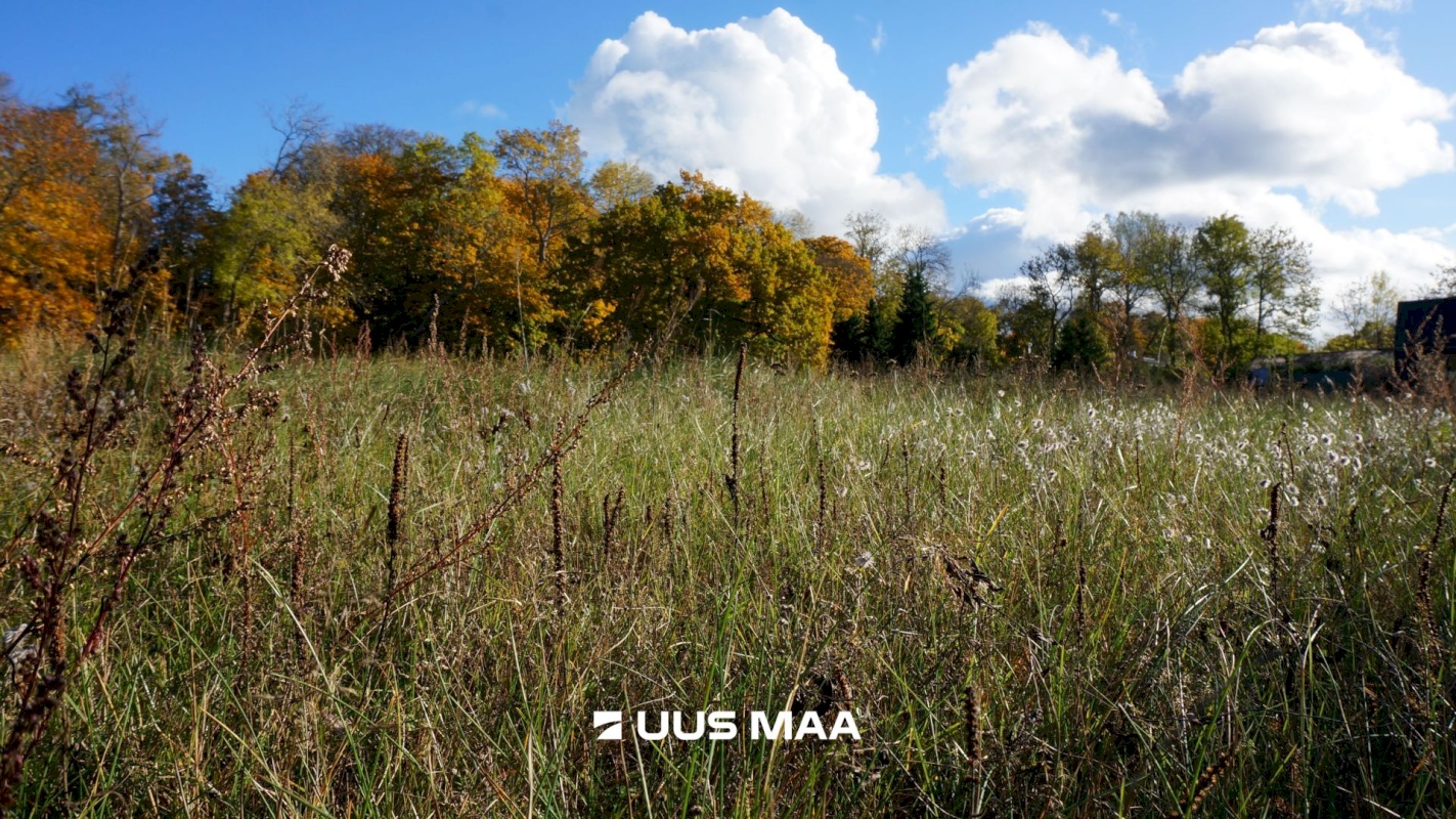 Lääne-Harju vald, Laulasmaa küla, Kaldaveere tee 4