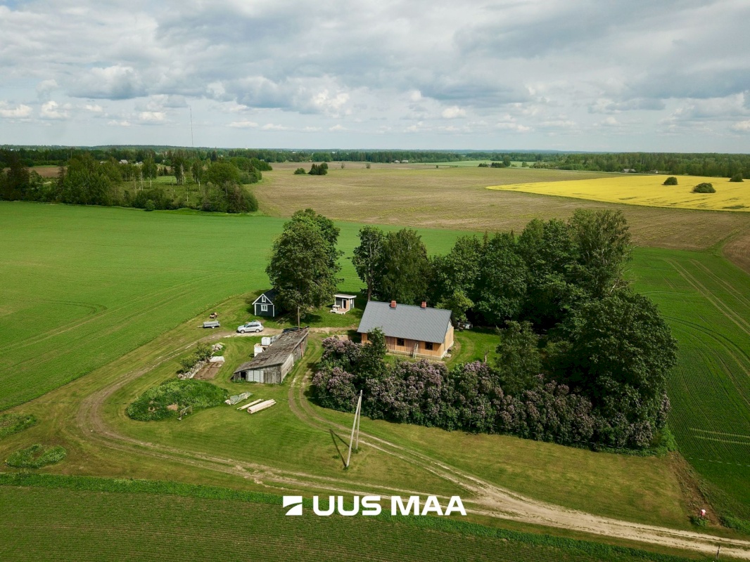 Järva vald, Vao küla, Tombu