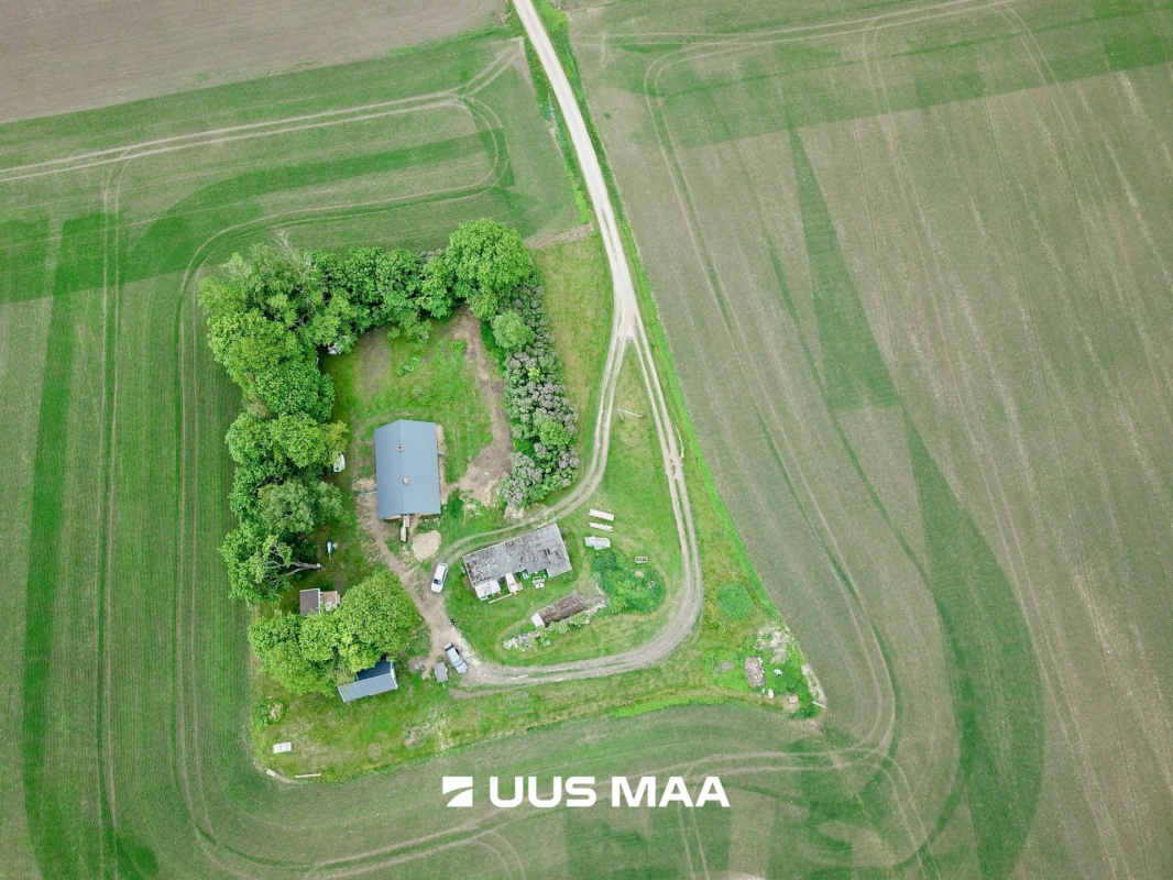 Järva vald, Vao küla, Tombu