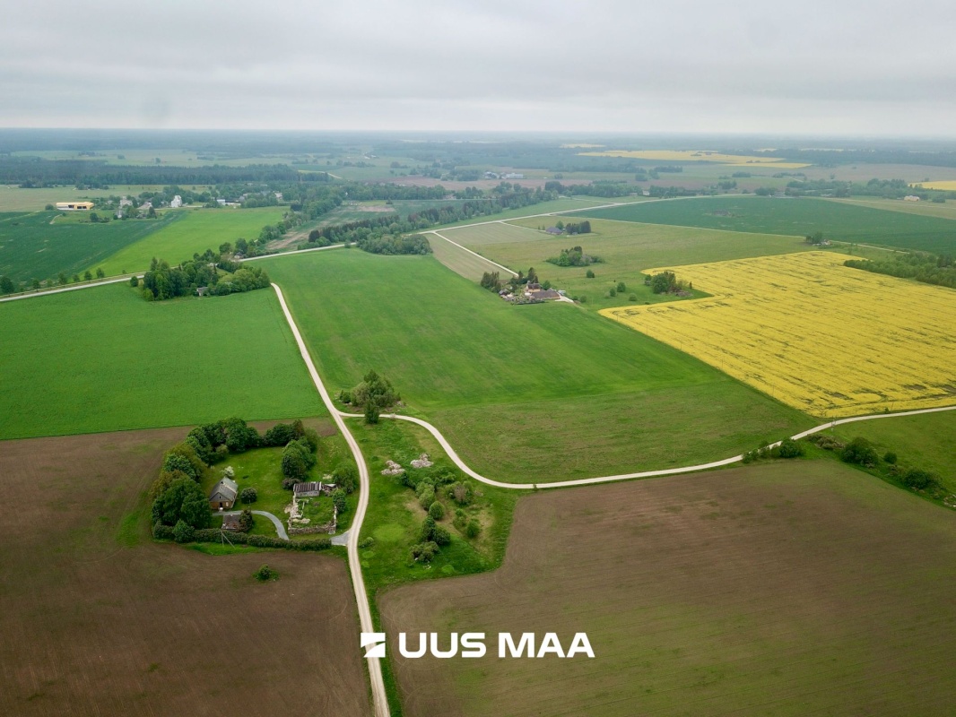 Järva vald, Vao küla, Tombu