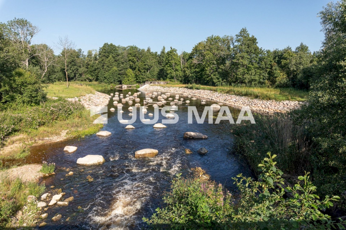 Lääne-Harju vald, Põllküla, Anita