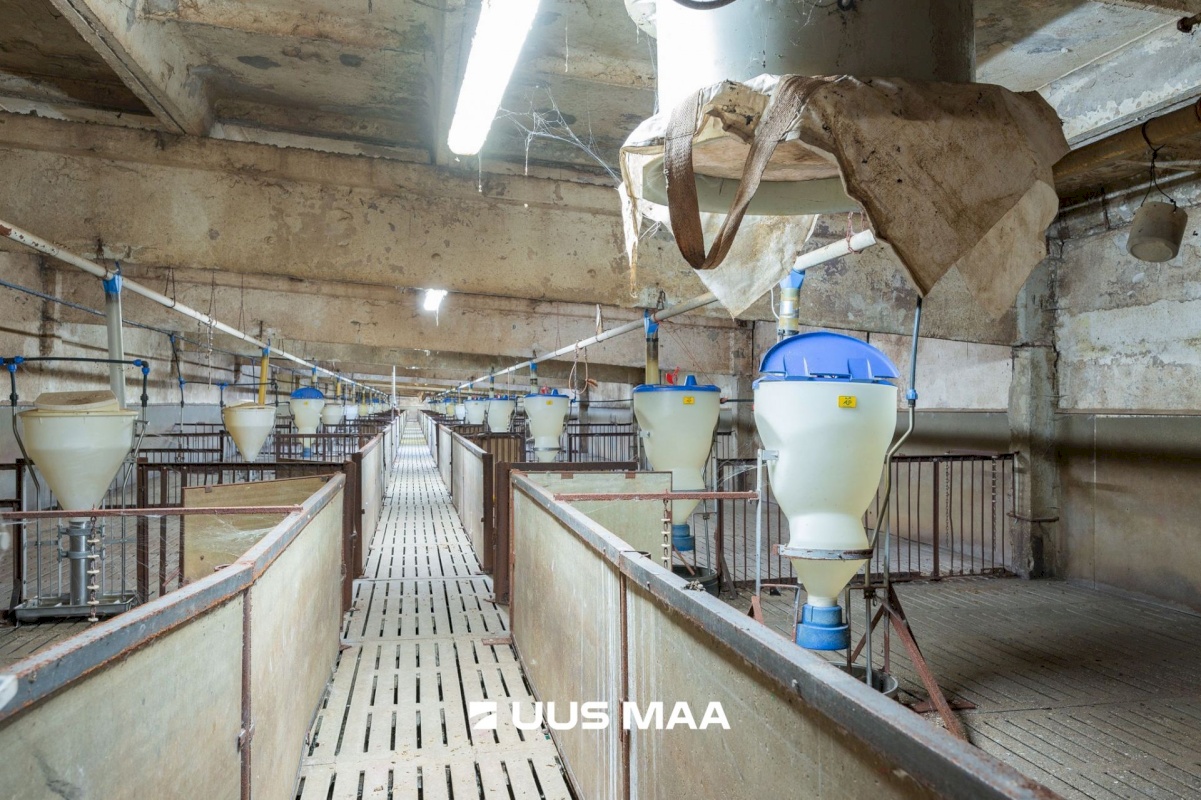 Tartu vald, Laeva küla