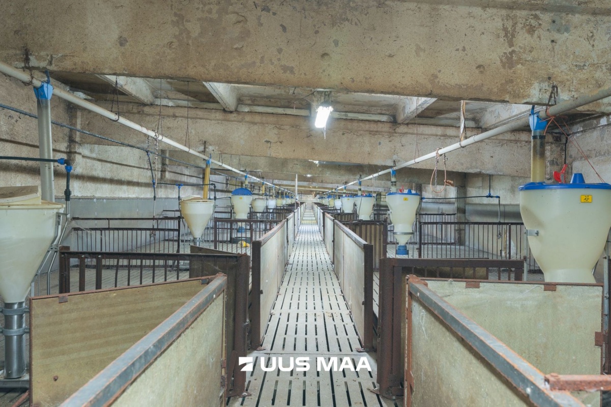 Tartu vald, Laeva küla