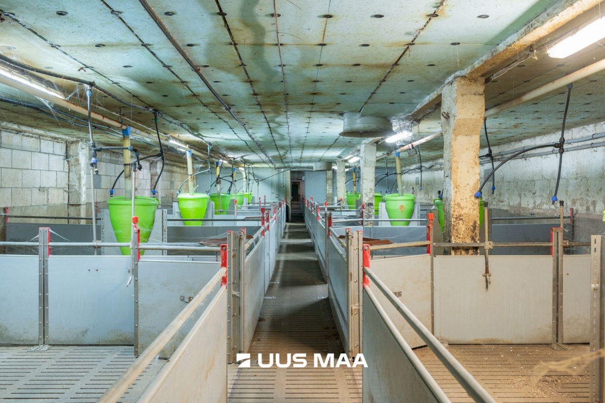 Tartu vald, Laeva küla