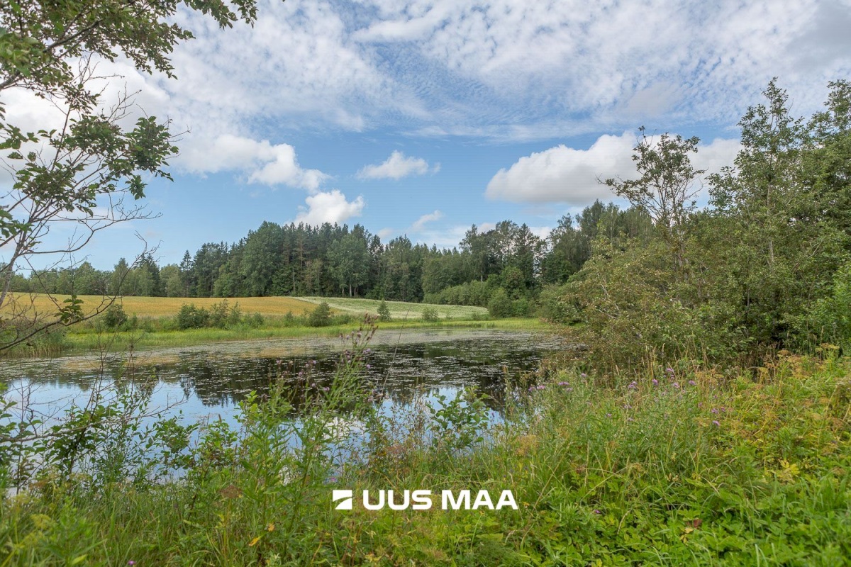 Rõuge vald, Leoski küla, Salulehe