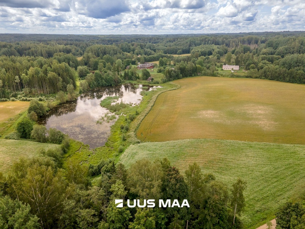 Rõuge vald, Leoski küla, Salulehe