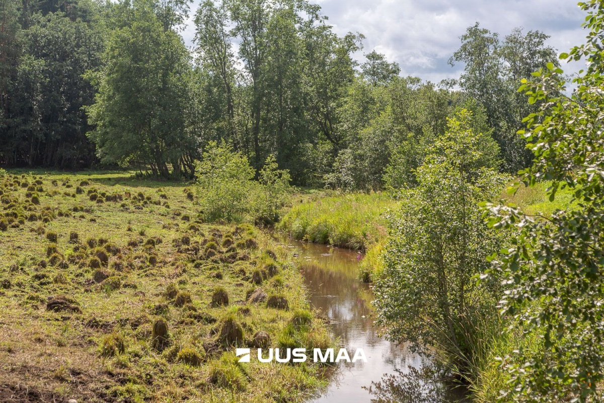 Rõuge vald, Leoski küla, Salulehe