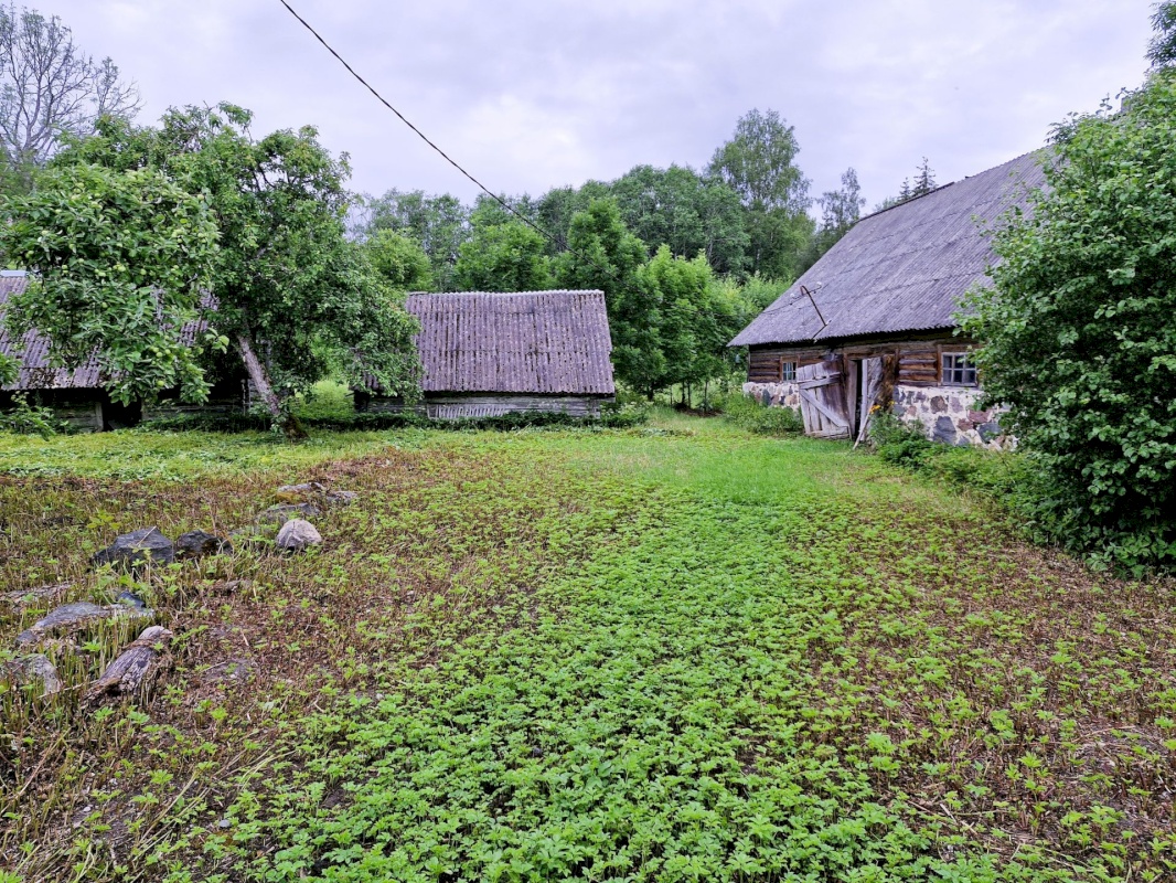 Lääne-Harju vald, Madise küla, Tooma