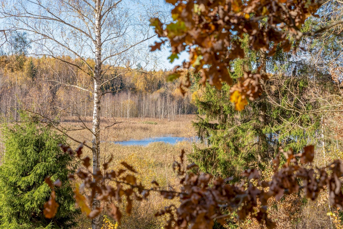 Elva vald, Mälgi küla, Aiaste