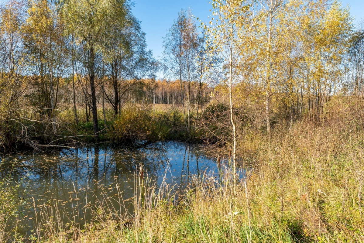 Elva vald, Mälgi küla, Aiaste