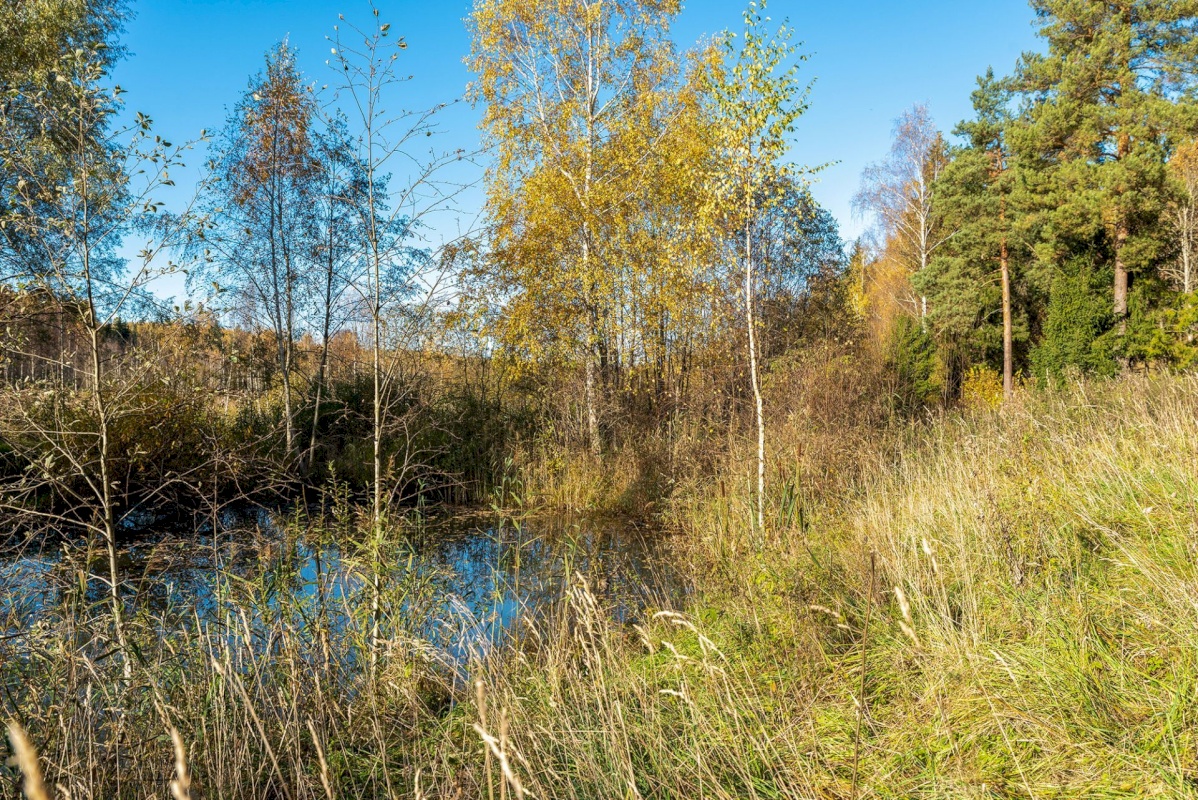 Elva vald, Mälgi küla, Aiaste