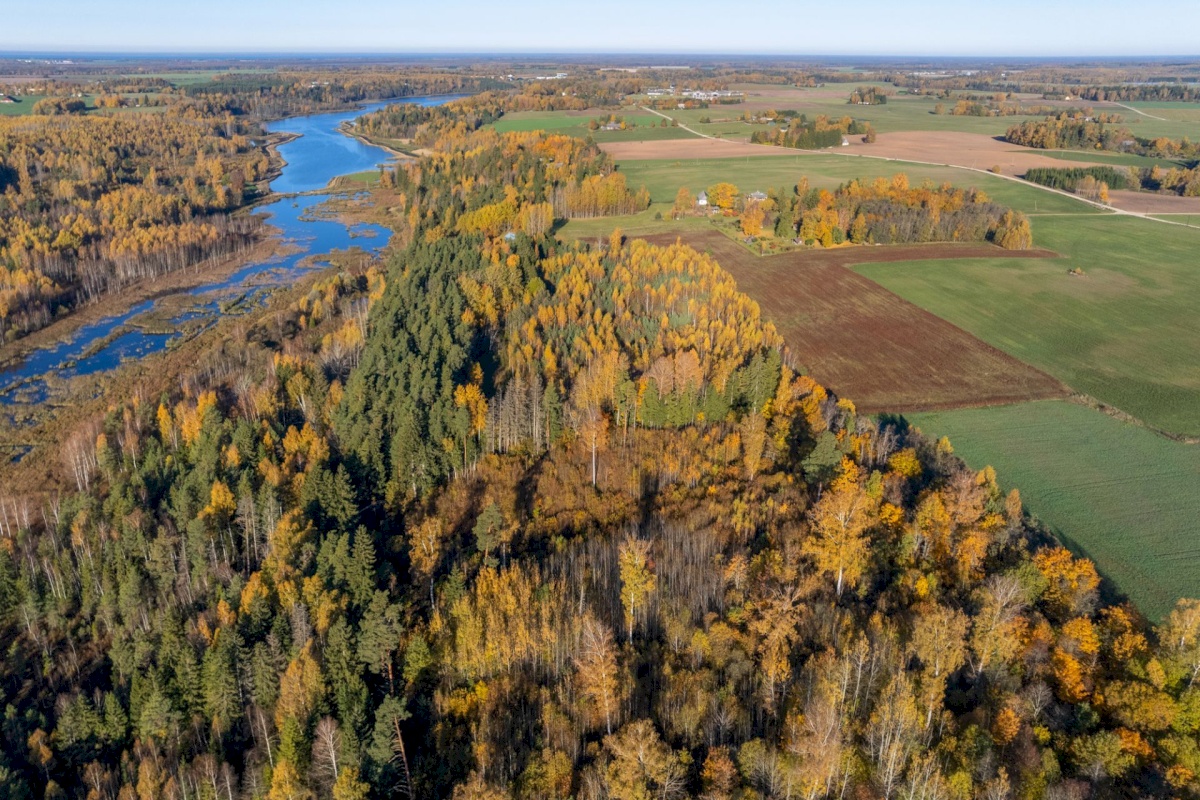 Elva vald, Mälgi küla, Aiaste