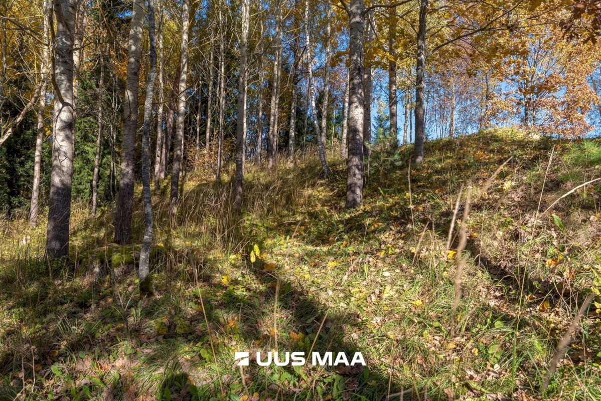 Elva vald, Mälgi küla, Aiaste