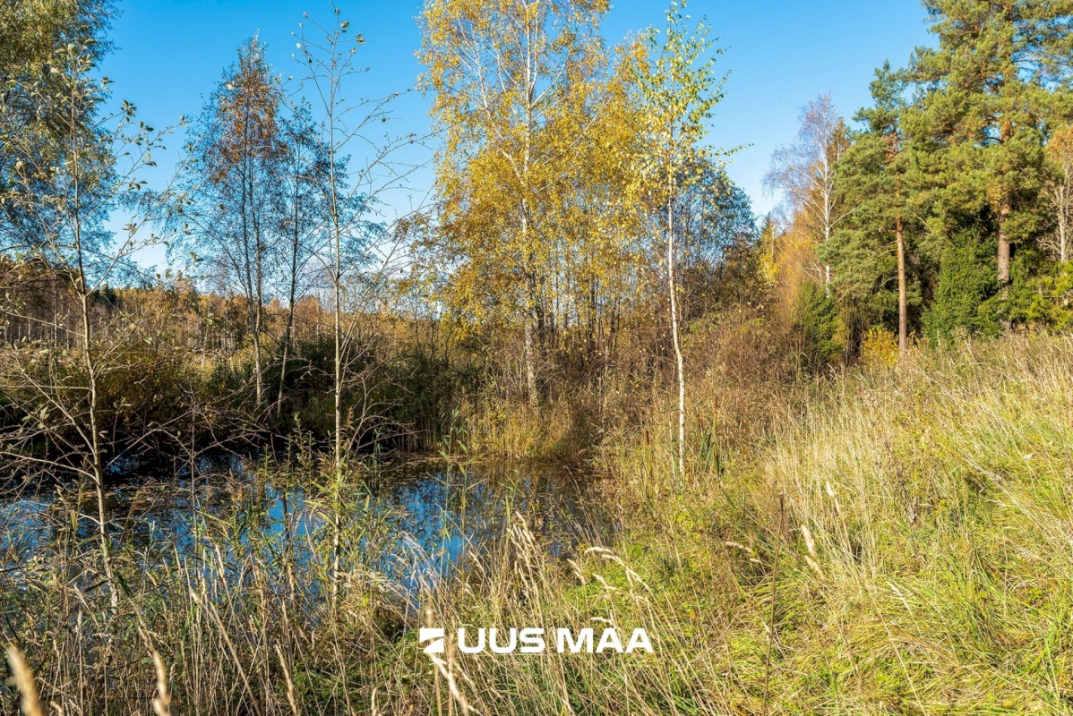 Elva vald, Mälgi küla, Aiaste