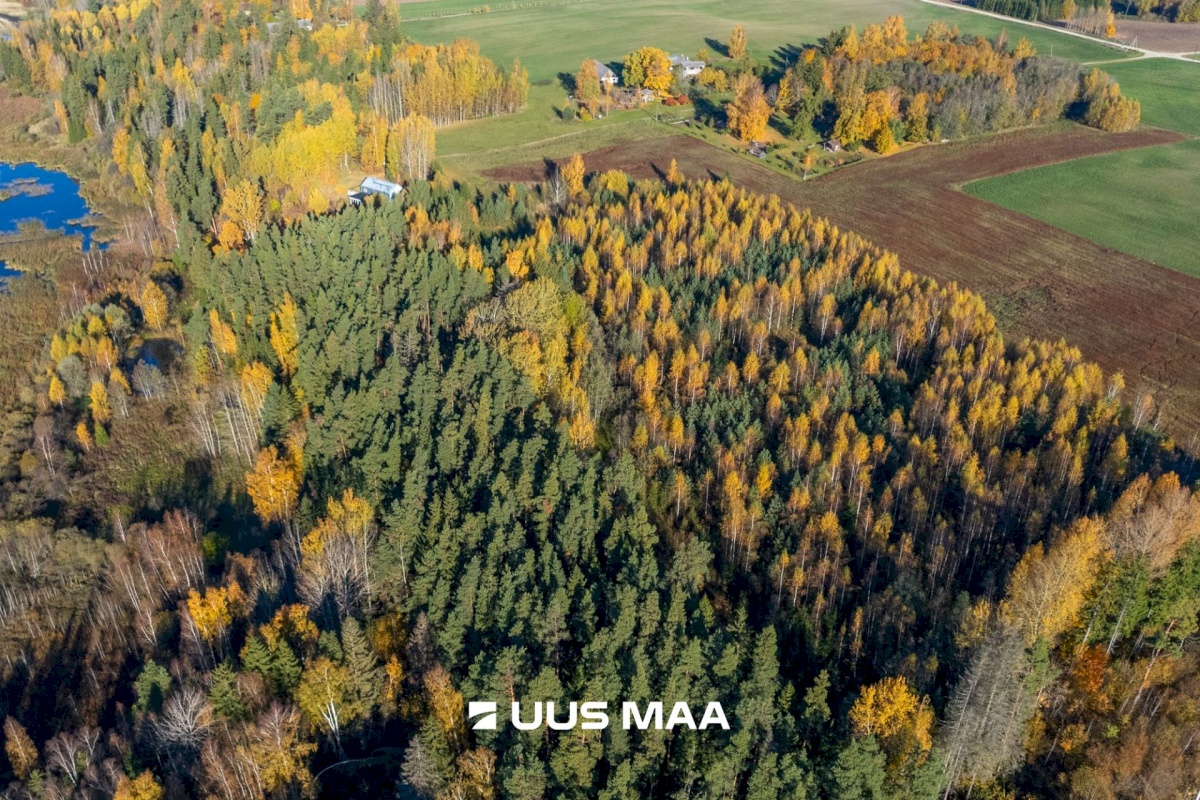 Elva vald, Mälgi küla, Aiaste