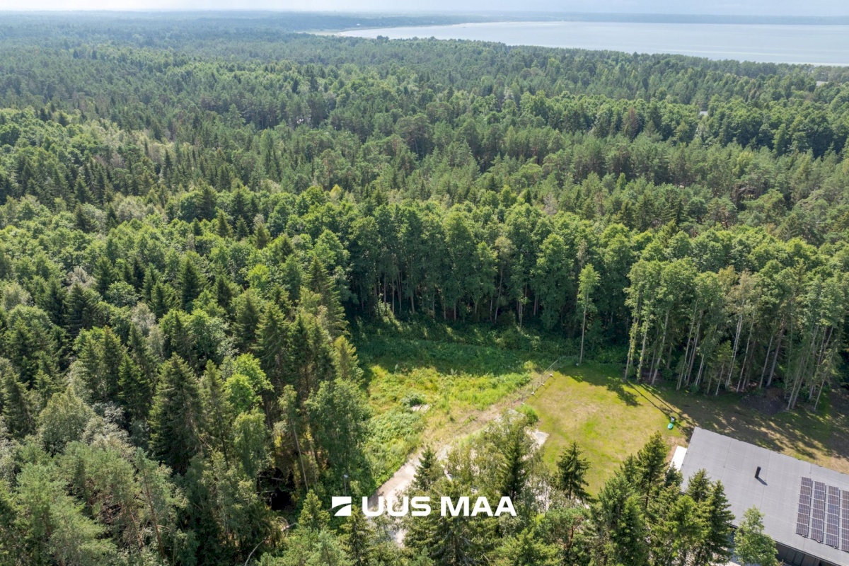 Lääne-Harju vald, Kloogaranna küla, Kaasiku tee 10a