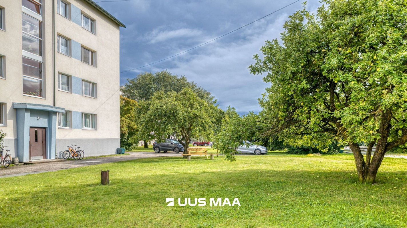 Haapsalu linn, Haapsalu linn, Kuuse 4