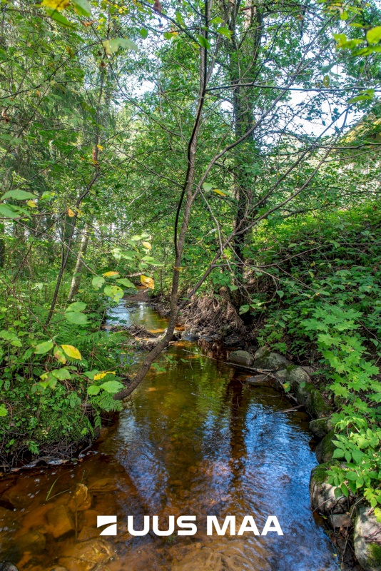 Rõuge vald, Suurõ-Ruuga küla