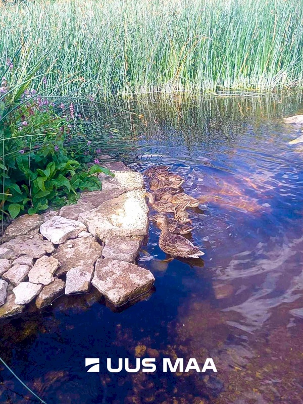 Jõelähtme vald, Loo alevik, Pargi tee 2