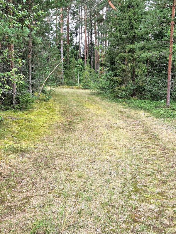 Rõuge vald, Kuutsi küla, Maasikmäe