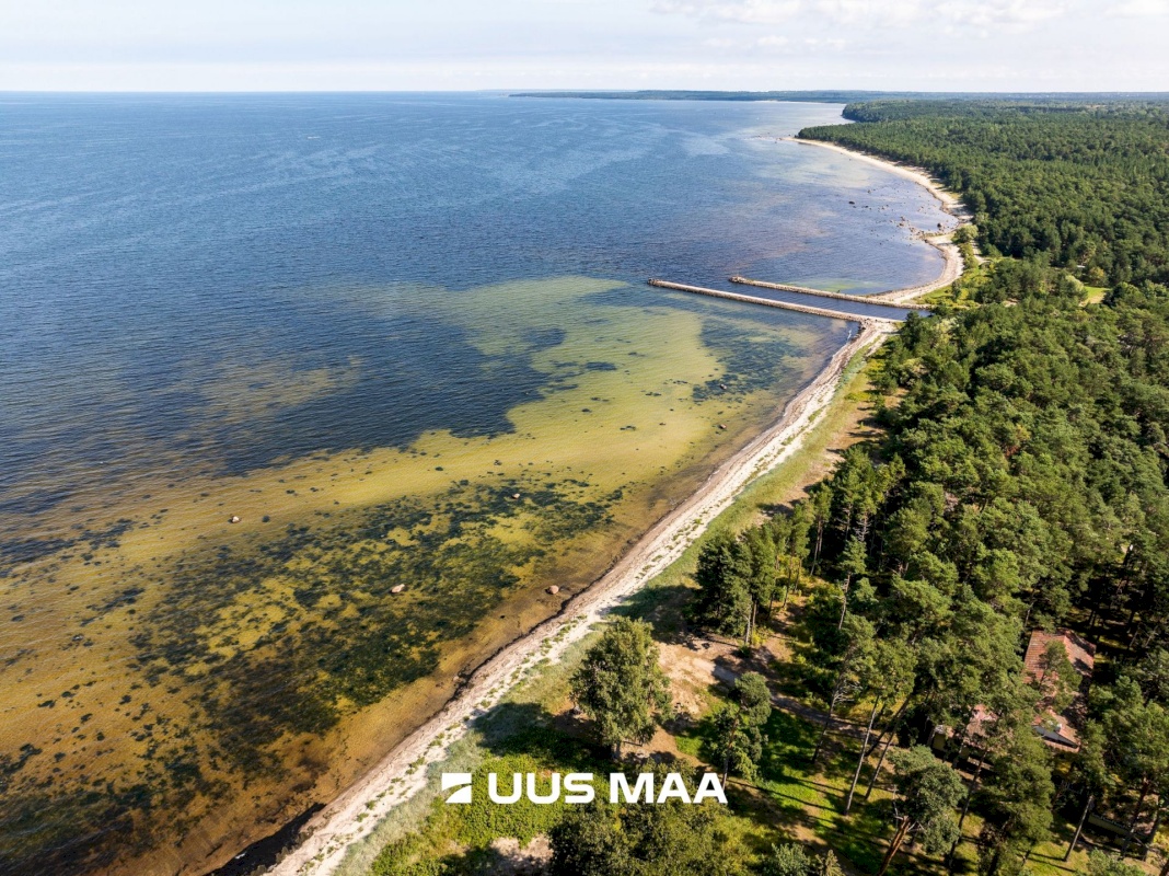 Lääne-Harju vald, Meremõisa küla, Näkineiu põik 3