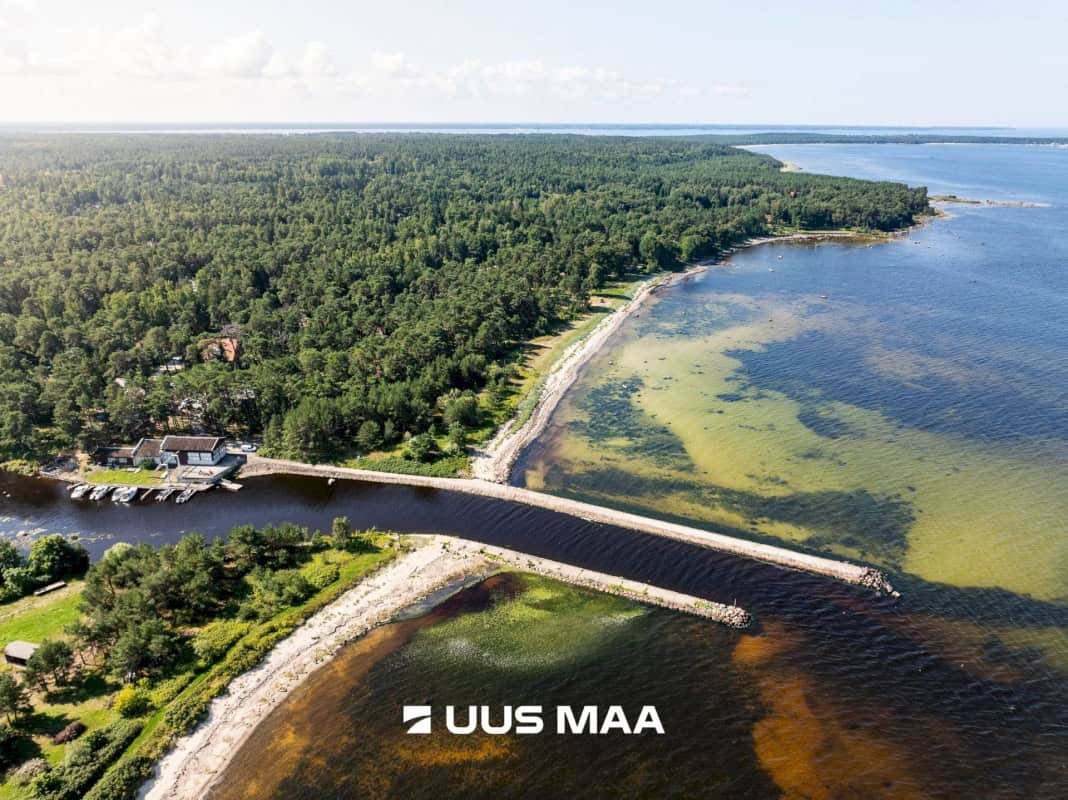 Lääne-Harju vald, Meremõisa küla, Näkineiu põik 3