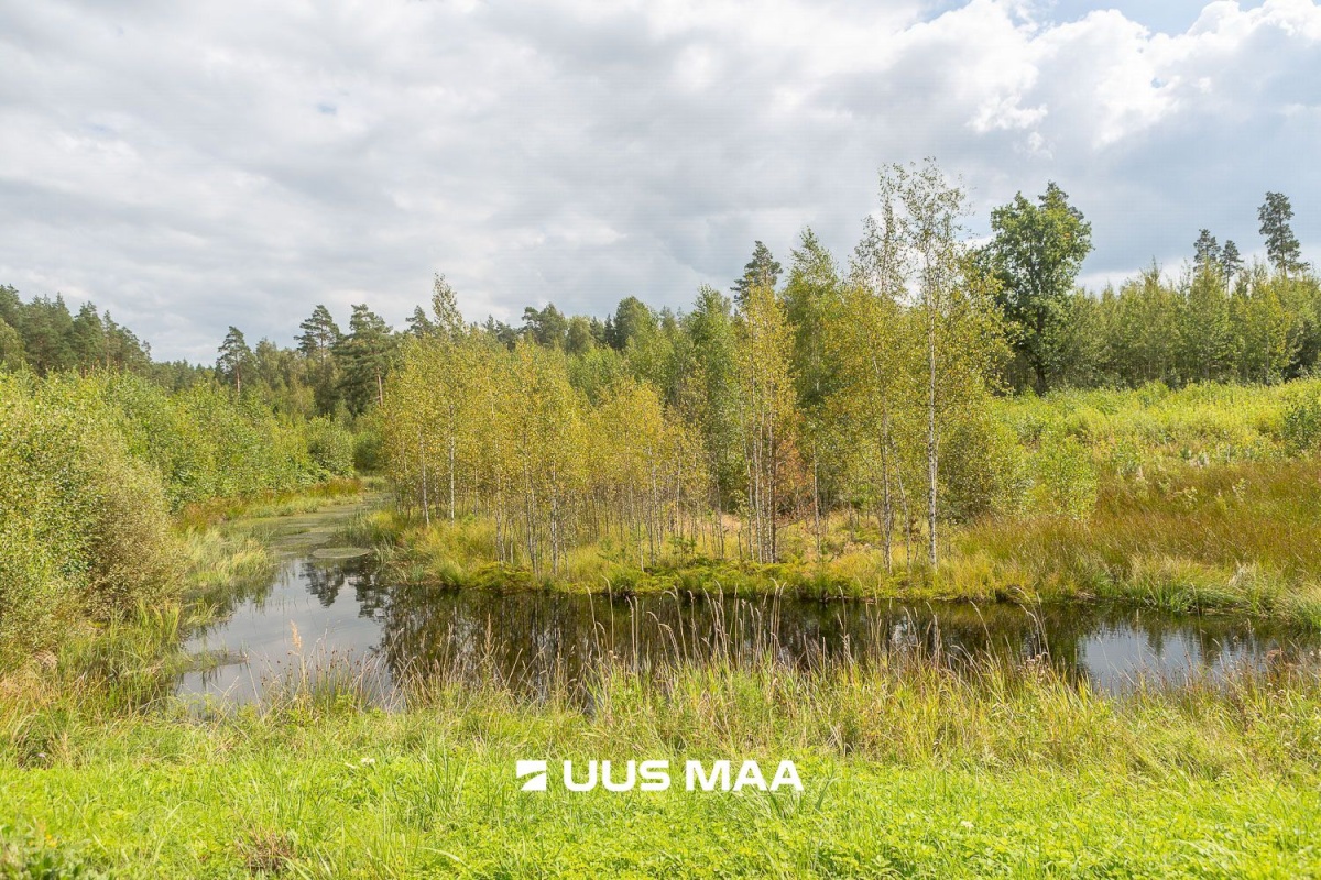 Setomaa vald, Ulitina küla, Metsalaane