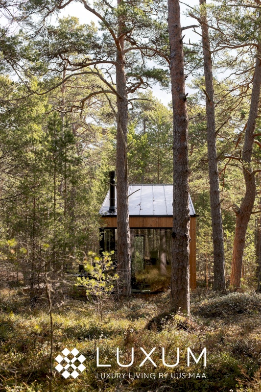 Lääne-Harju vald, Laulasmaa küla, Kingu tee