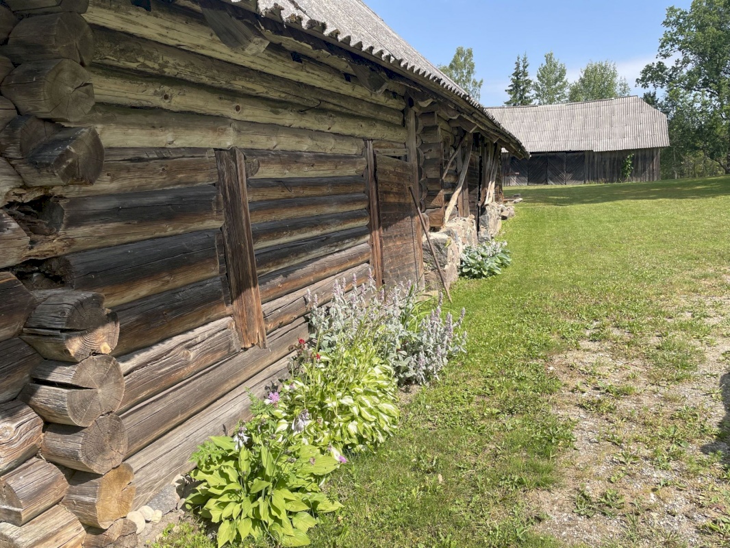 Võru vald, Kõo küla, Tamme