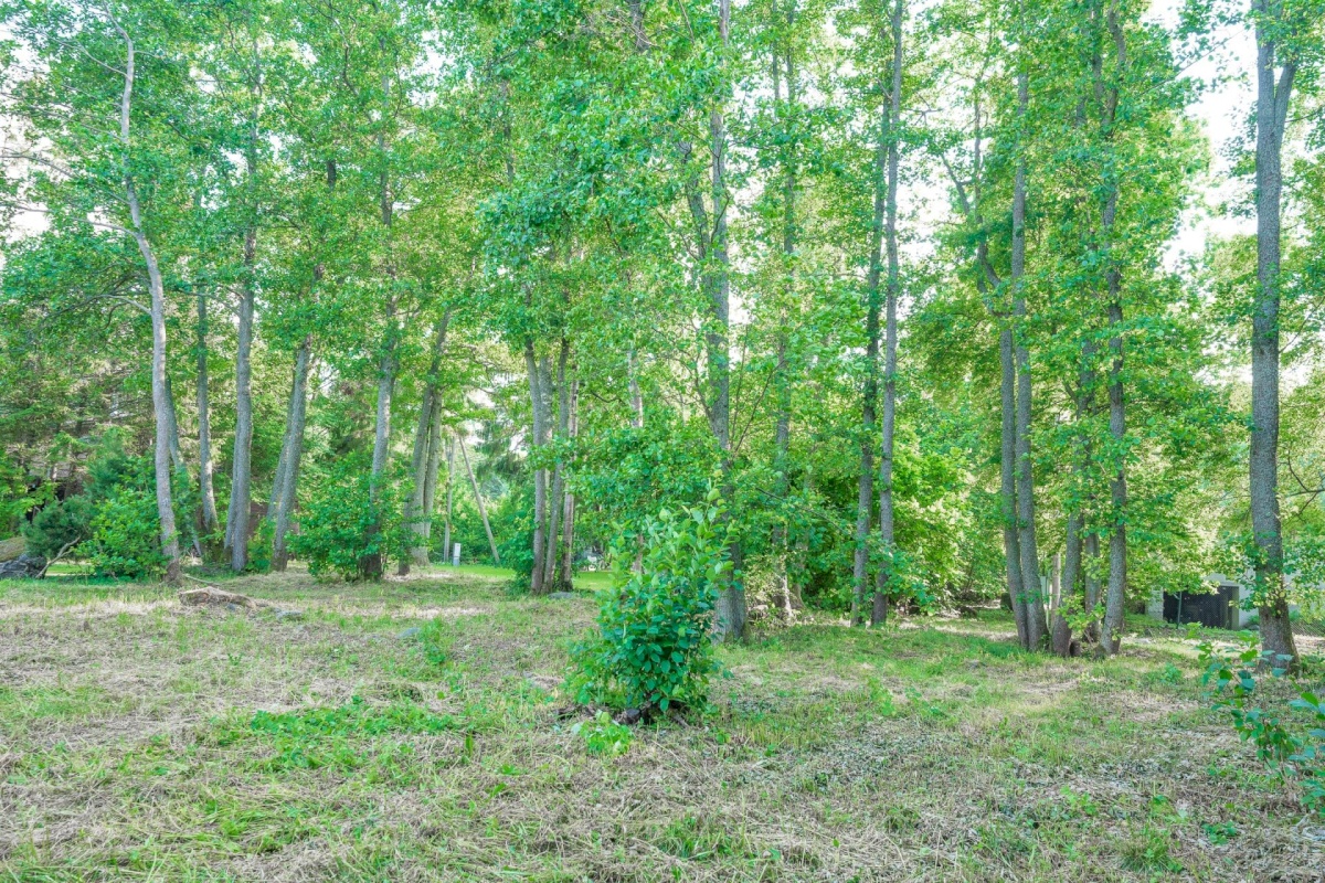 Viimsi vald, Randvere küla, Tammekivi tee 15