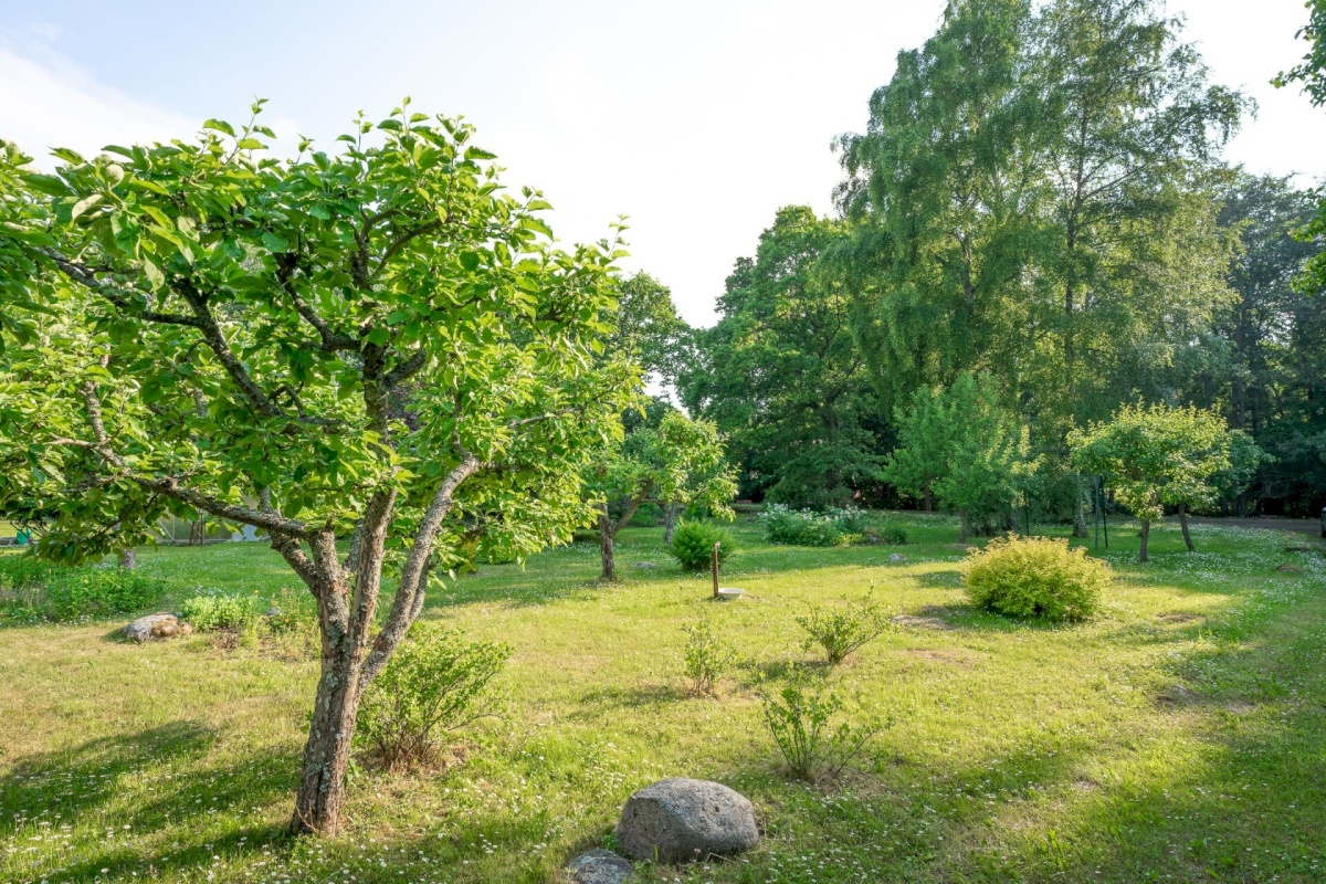 Viimsi vald, Randvere küla, Tammekivi tee 15