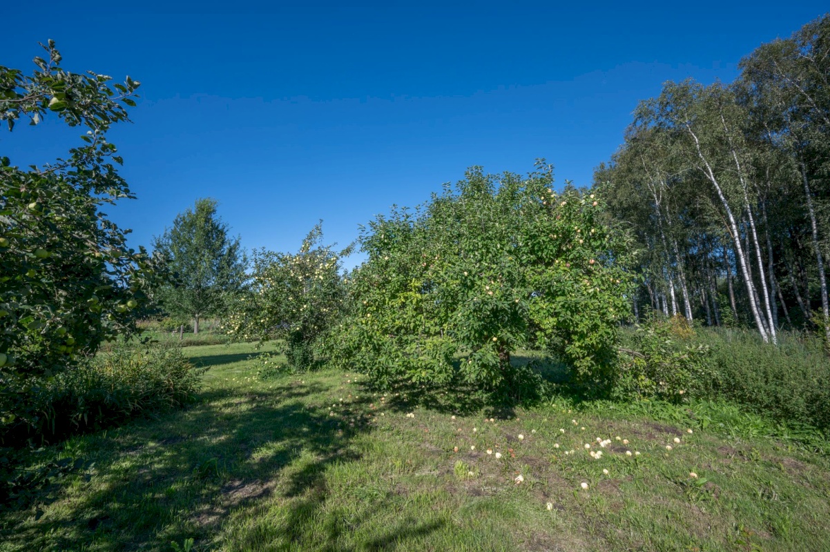 Rae vald, Patika küla, Nabala tee 15