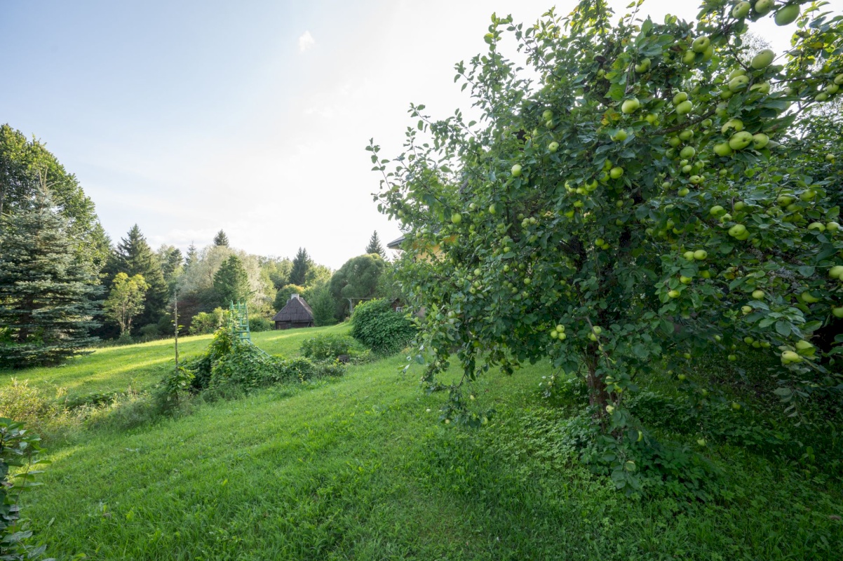 Kadrina vald, Läsna küla