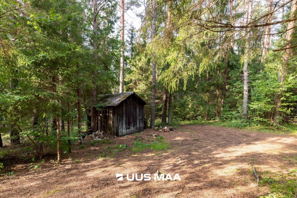 Lääne-Harju vald, Tuulna küla, Metsapiiga tee