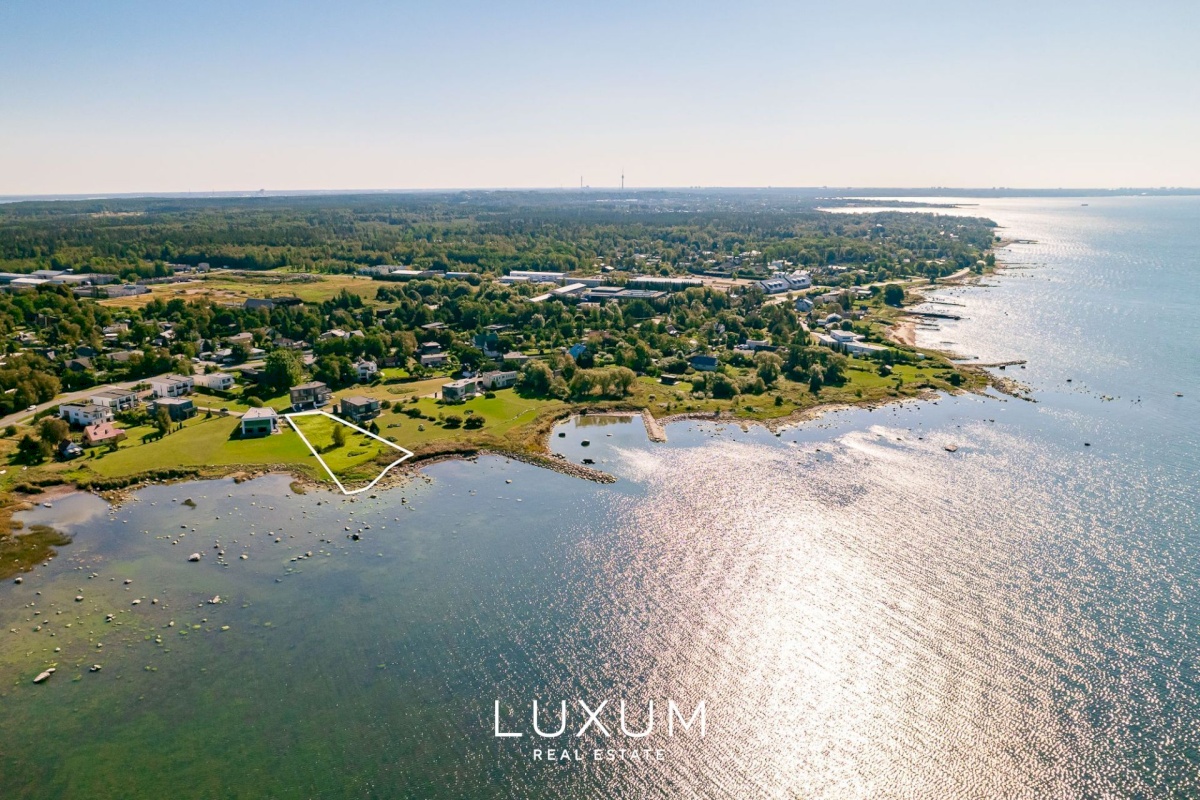 Viimsi vald, Pringi küla, Pilliroo tn 10